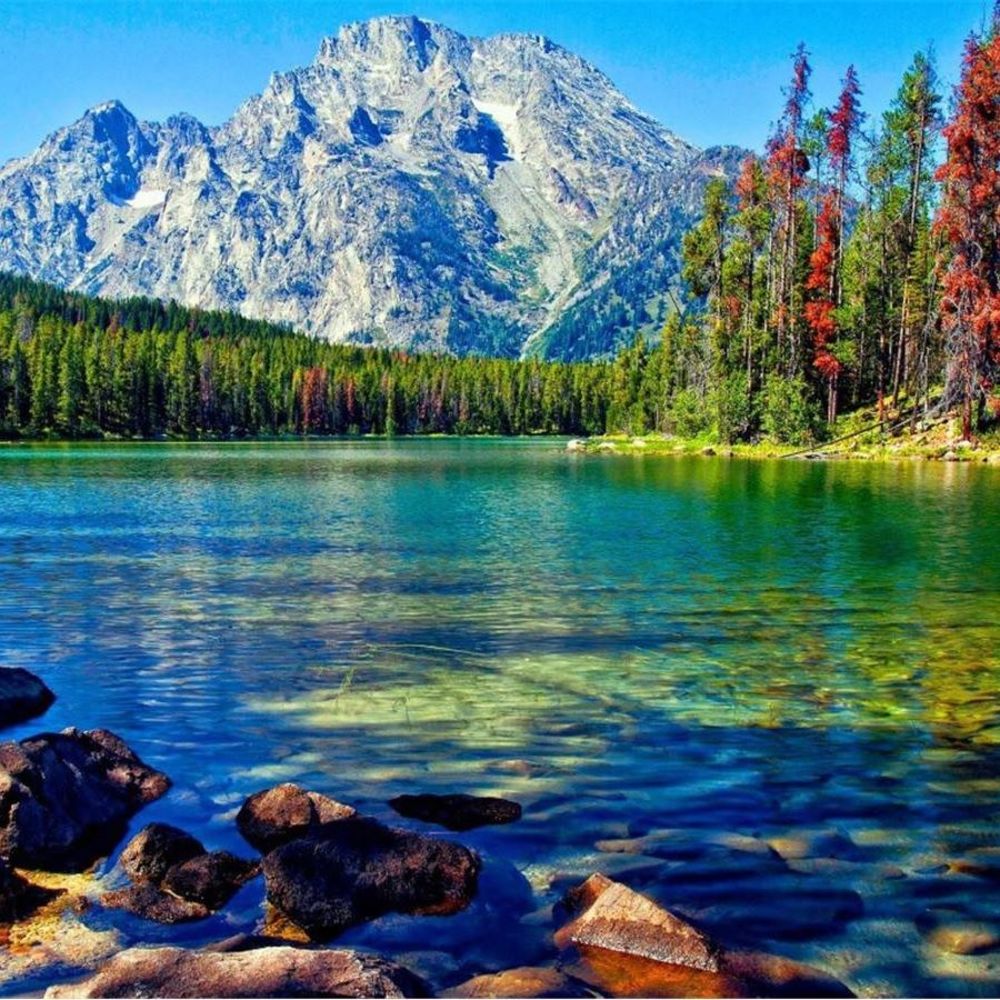 Meet your Posher, Ghizlane